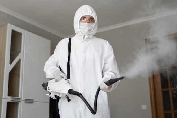 Best Industrial Mold Remediation  in Sam Rayburn, TX