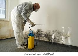 Best Emergency Mold Remediation  in Sam Rayburn, TX